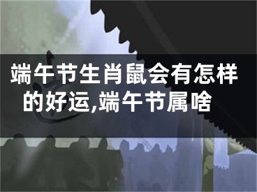 端午节生肖鼠会有怎样的好运,端午节属啥
