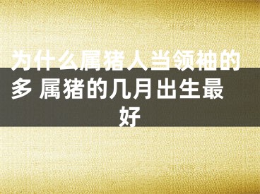 为什么属猪人当领袖的多 属猪的几月出生最好