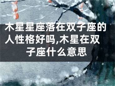 木星星座落在双子座的人性格好吗,木星在双子座什么意思