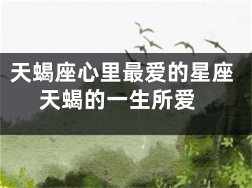 天蝎座心里最爱的星座 天蝎的一生所爱