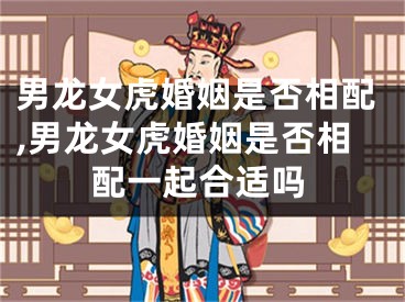 男龙女虎婚姻是否相配,男龙女虎婚姻是否相配一起合适吗