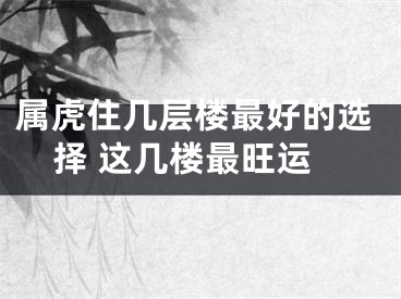 属虎住几层楼最好的选择 这几楼最旺运