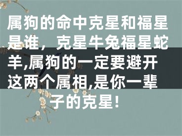 属狗的命中克星和福星是谁，克星牛兔福星蛇羊,属狗的一定要避开这两个属相,是你一辈子的克星!