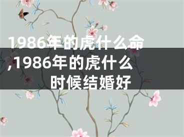 1986年的虎什么命,1986年的虎什么时候结婚好