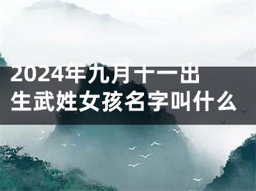 2024年九月十一出生武姓女孩名字叫什么