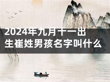 2024年九月十一出生崔姓男孩名字叫什么