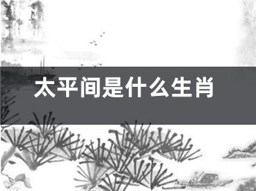 太平间是什么生肖