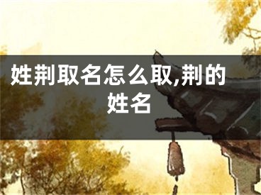 姓荆取名怎么取,荆的姓名