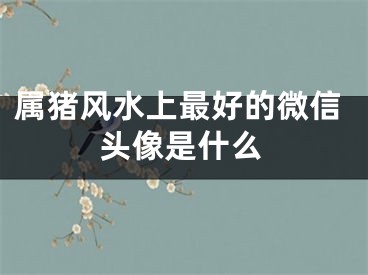 属猪风水上最好的微信头像是什么