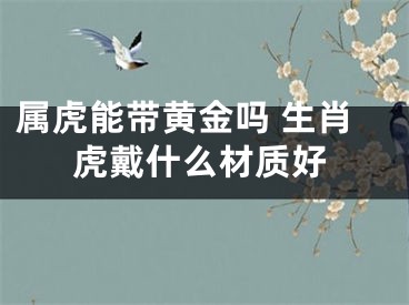 属虎能带黄金吗 生肖虎戴什么材质好