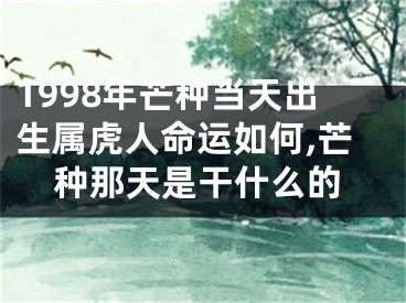 1998年芒种当天出生属虎人命运如何,芒种那天是干什么的