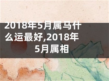 2018年5月属马什么运最好,2018年5月属相