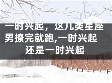 一时兴起，这几类星座男撩完就跑,一时兴起还是一时兴起