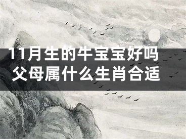 11月生的牛宝宝好吗 父母属什么生肖合适