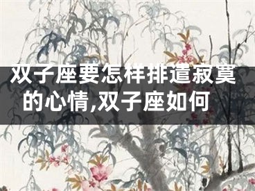 双子座要怎样排遣寂寞的心情,双子座如何
