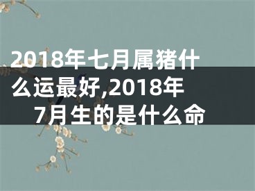 2018年七月属猪什么运最好,2018年7月生的是什么命