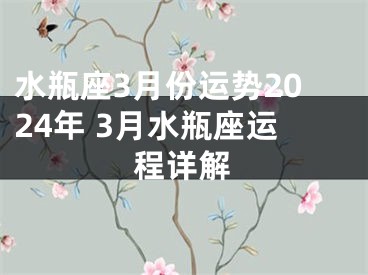 水瓶座3月份运势2024年 3月水瓶座运程详解