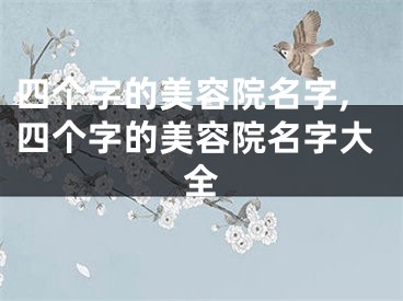 四个字的美容院名字,四个字的美容院名字大全