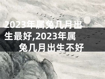 2023年属兔几月出生最好,2023年属兔几月出生不好