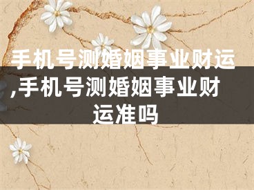 手机号测婚姻事业财运,手机号测婚姻事业财运准吗
