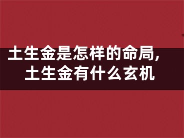 土生金是怎样的命局,土生金有什么玄机