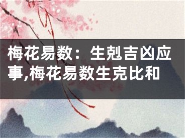 梅花易数：生剋吉凶应事,梅花易数生克比和