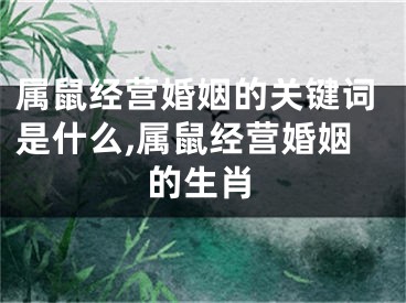 属鼠经营婚姻的关键词是什么,属鼠经营婚姻的生肖
