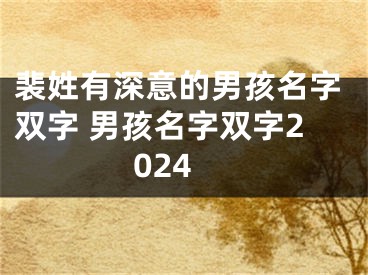 裴姓有深意的男孩名字双字 男孩名字双字2024