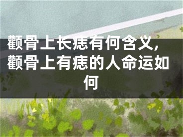 颧骨上长痣有何含义,颧骨上有痣的人命运如何