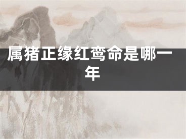 属猪正缘红鸾命是哪一年