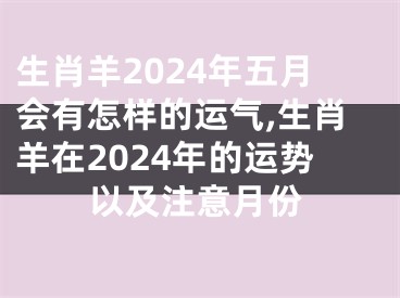生肖羊2024年五月会有怎样的运气,生肖羊在2024年的运势以及注意月份