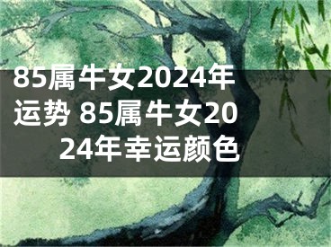 85属牛女2024年运势 85属牛女2024年幸运颜色