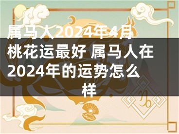 属马人2024年4月桃花运最好 属马人在2024年的运势怎么样