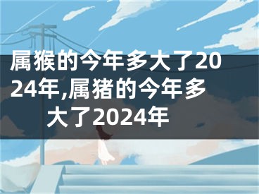 属猴的今年多大了2024年,属猪的今年多大了2024年