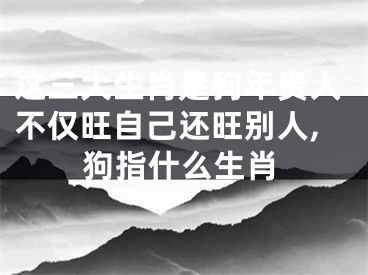 这三大生肖是狗年贵人不仅旺自己还旺别人,狗指什么生肖