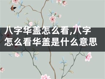 八字华盖怎么看,八字怎么看华盖是什么意思