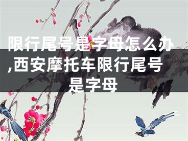 限行尾号是字母怎么办,西安摩托车限行尾号是字母