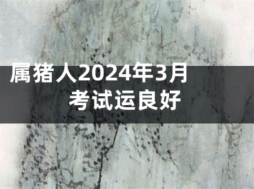 属猪人2024年3月考试运良好