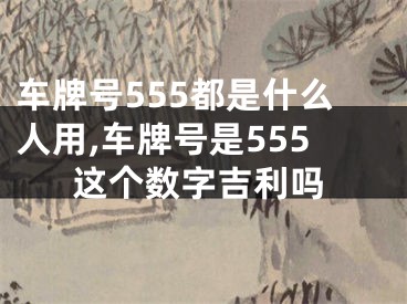 车牌号555都是什么人用,车牌号是555这个数字吉利吗