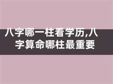 八字哪一柱看学历,八字算命哪柱最重要