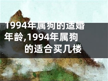 1994年属狗的适婚年龄,1994年属狗的适合买几楼