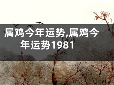 属鸡今年运势,属鸡今年运势1981
