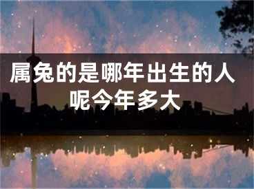 属兔的是哪年出生的人呢今年多大