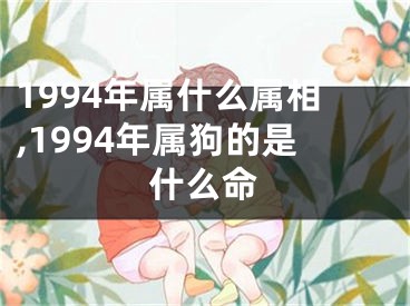 1994年属什么属相,1994年属狗的是什么命