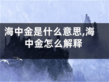 海中金是什么意思,海中金怎么解释