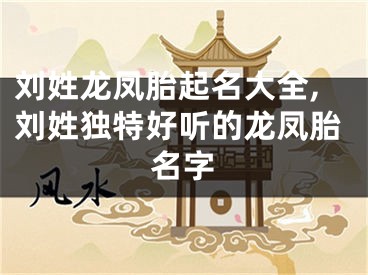 刘姓龙凤胎起名大全,刘姓独特好听的龙凤胎名字