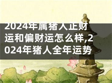 2024年属猪人正财运和偏财运怎么样,2024年猪人全年运势