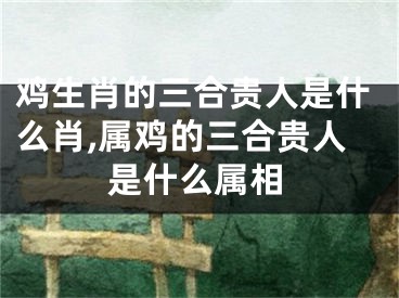 鸡生肖的三合贵人是什么肖,属鸡的三合贵人是什么属相