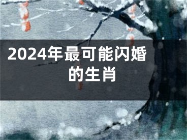 2024年最可能闪婚的生肖