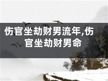 伤官坐劫财男流年,伤官坐劫财男命